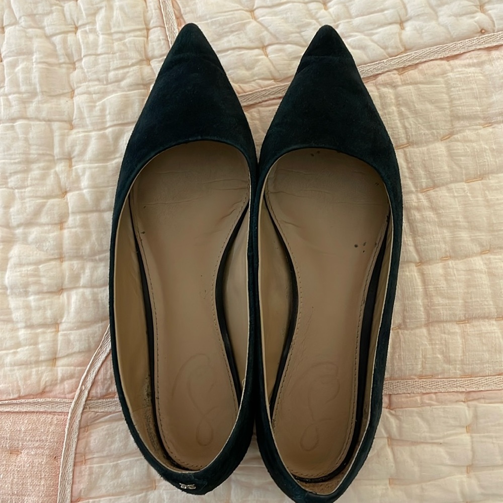Sam Edelman Wanda Pointed Toe Flat